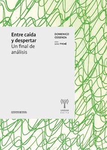 ENTRE CAIDA Y DESPERTAR. UN FINAL DE ANALISIS